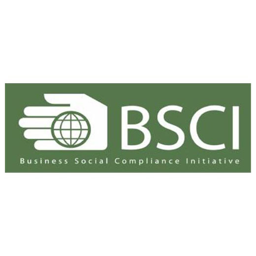 BSCI